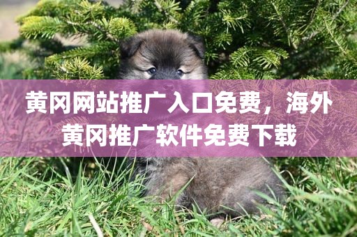 黄冈网站推广入口免费，海外黄冈推广软件免费下载