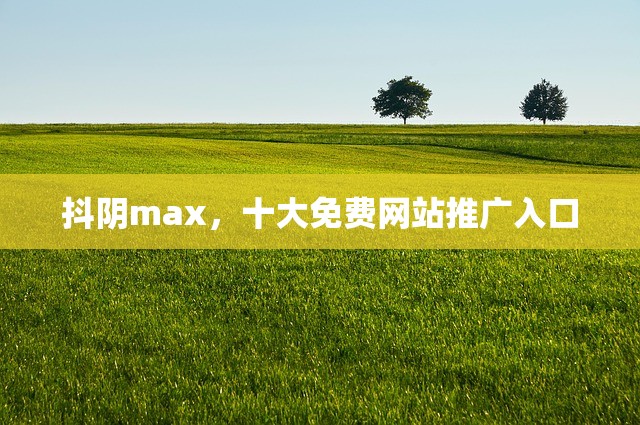 抖阴max，十大免费网站推广入口