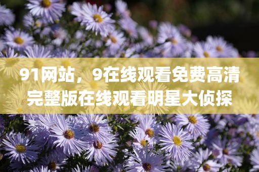 91网站，9在线观看免费高清完整版在线观看明星大侦探