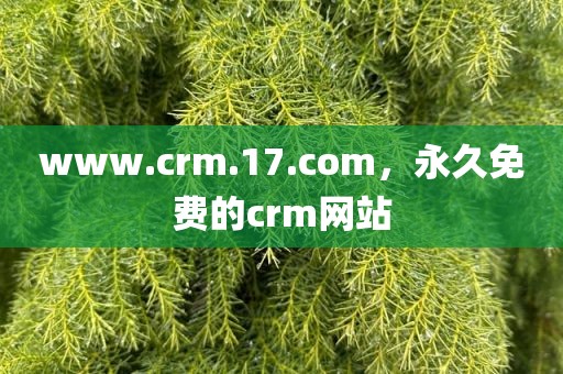 www.crm.17.com，永久免费的crm网站