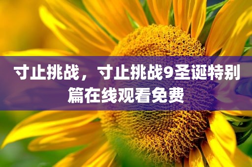 寸止挑战，寸止挑战9圣诞特别篇在线观看免费