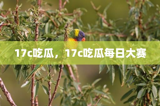 17c吃瓜，17c吃瓜每日大赛