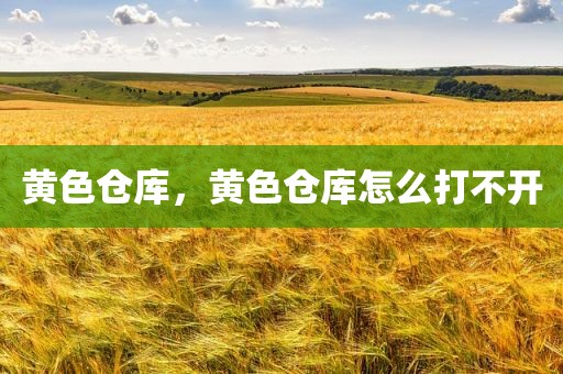 黄色仓库，黄色仓库怎么打不开