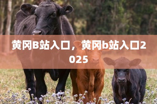 黄冈B站入口，黄冈b站入口2025