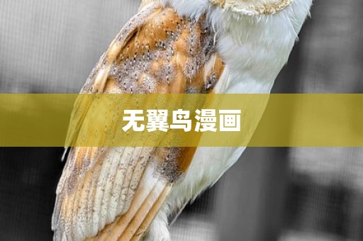无翼鸟漫画