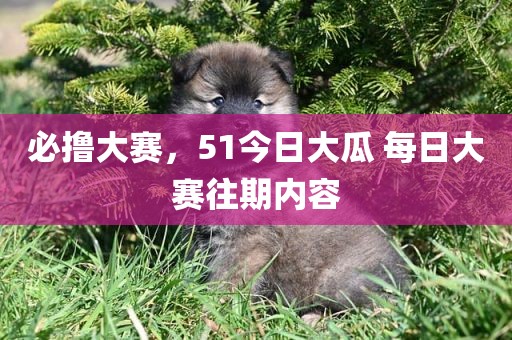 必撸大赛，51今日大瓜 每日大赛往期内容