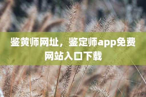 鉴黄师网址，鉴定师app免费网站入口下载