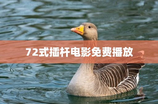 72式插杆电影免费播放