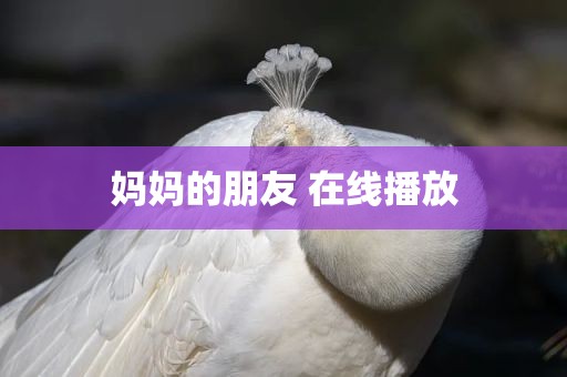 妈妈的朋友 在线播放