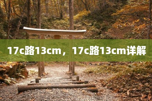 17c路13cm，17c路13cm详解
