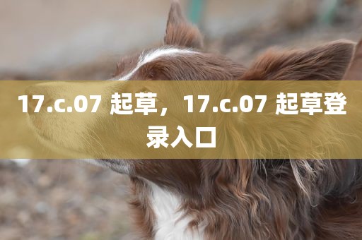 17.c.07 起草，17.c.07 起草登录入口