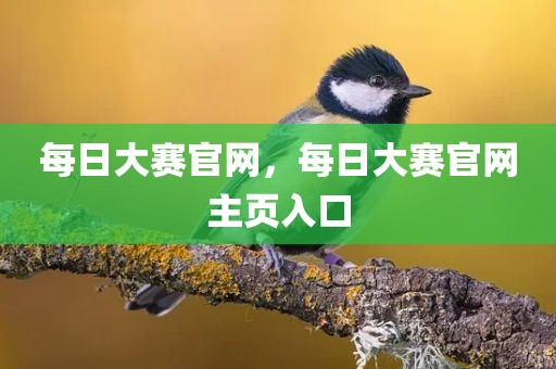 每日大赛官网，每日大赛官网主页入口