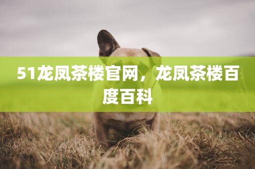 51龙凤茶楼官网，龙凤茶楼百度百科