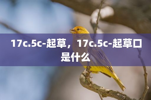 17c.5c-起草，17c.5c-起草口是什么