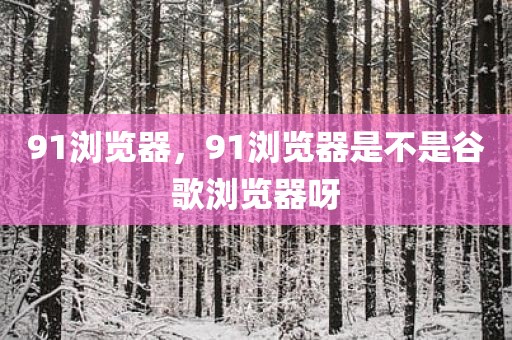91浏览器，91浏览器是不是谷歌浏览器呀