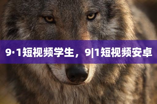 9·1短视频学生，9|1短视频安卓