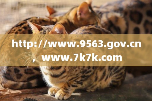 http://www.9563.gov.cn，www.7k7k.com