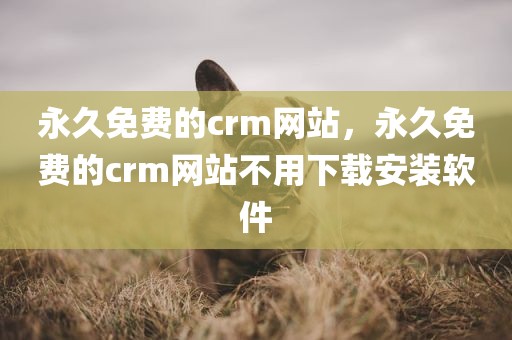 永久免费的crm网站，永久免费的crm网站不用下载安装软件
