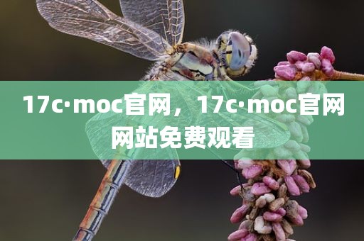 17c·moc官网，17c·moc官网网站免费观看