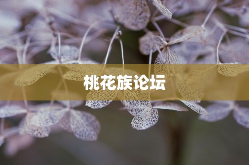桃花族论坛