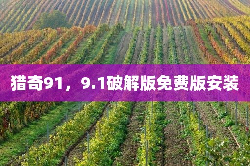 猎奇91，9.1破解版免费版安装