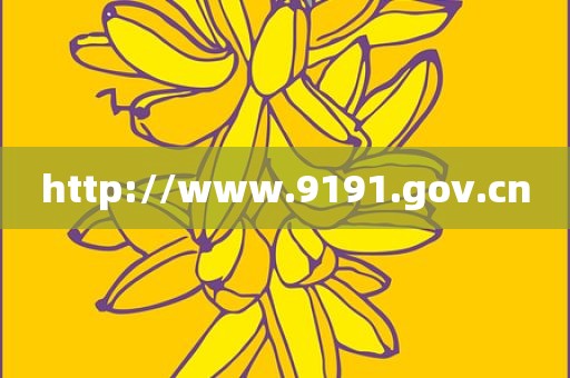 http://www.9191.gov.cn