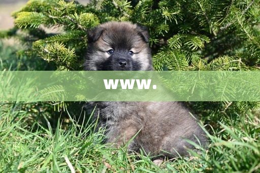 www.