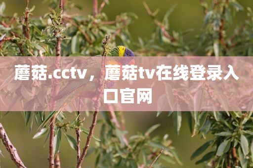 蘑菇.cctv，蘑菇tv在线登录入口官网