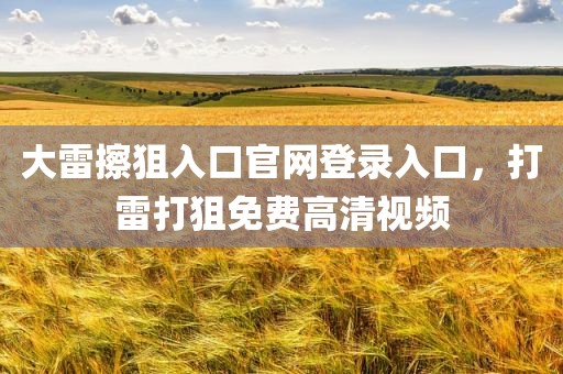 大雷擦狙入口官网登录入口，打雷打狙免费高清视频