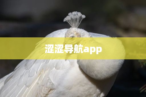涩涩导航app