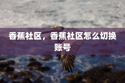 香蕉社区，香蕉社区怎么切换账号