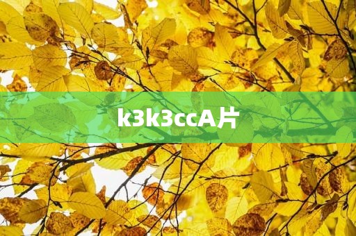 k3k3ccA片