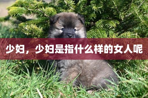 少妇，少妇是指什么样的女人呢