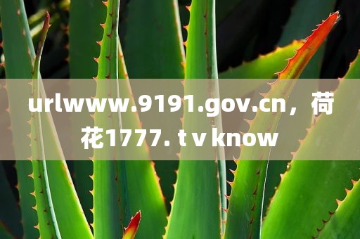 urlwww.9191.gov.cn，荷花1777. tⅴknow