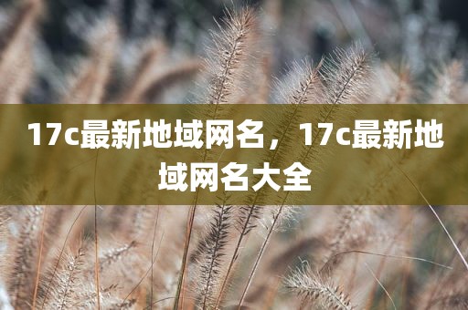 17c最新地域网名，17c最新地域网名大全