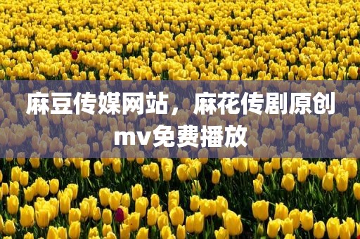 麻豆传媒网站，麻花传剧原创mv免费播放