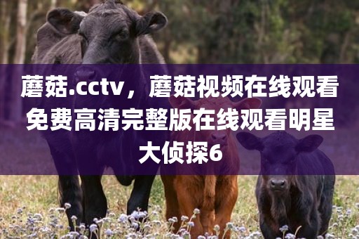 蘑菇.cctv，蘑菇视频在线观看免费高清完整版在线观看明星大侦探6