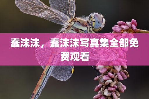 蠢沫沫，蠢沫沫写真集全部免费观看