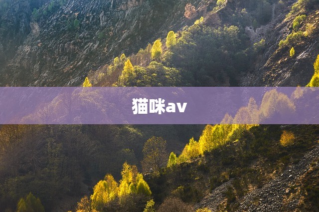 猫咪av