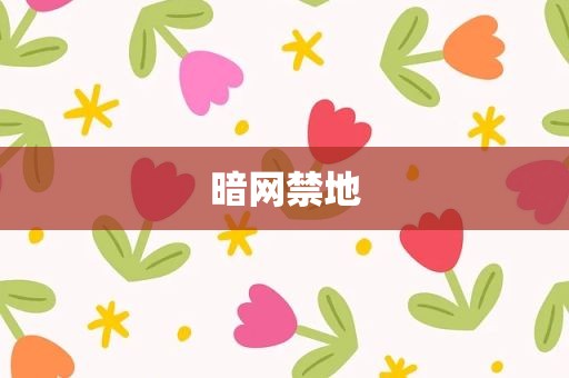 暗网禁地