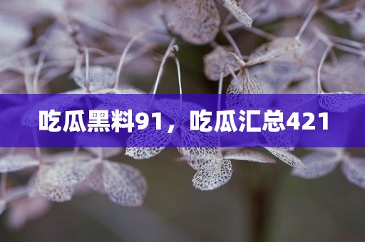 吃瓜黑料91，吃瓜汇总421