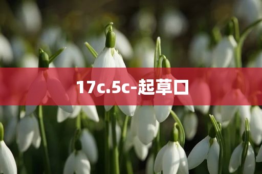 17c.5c-起草口