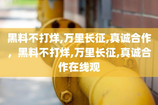 黑料不打烊,万里长征,真诚合作，黑料不打烊,万里长征,真诚合作在线观