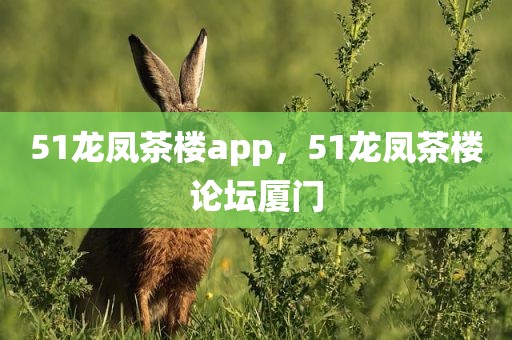 51龙凤茶楼app，51龙凤茶楼论坛厦门