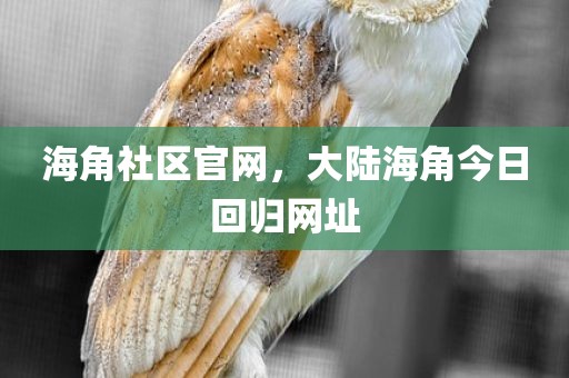 海角社区官网，大陆海角今日回归网址