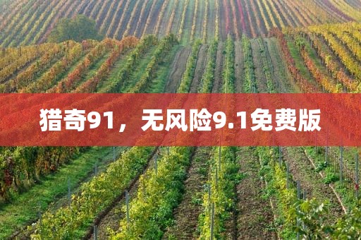 猎奇91，无风险9.1免费版