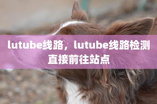 lutube线路，lutube线路检测直接前往站点