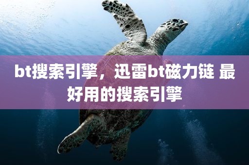 bt搜索引擎，迅雷bt磁力链 最好用的搜索引擎