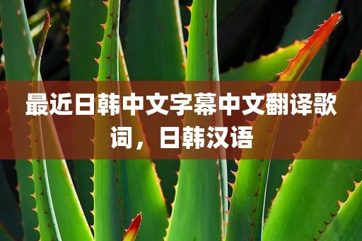 最近日韩中文字幕中文翻译歌词，日韩汉语