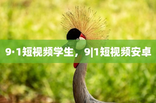 9·1短视频学生，9|1短视频安卓